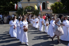 bozecialo_2018 (14)
