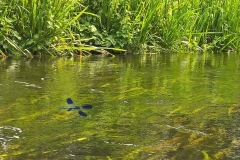 splyw_ministranci (30)